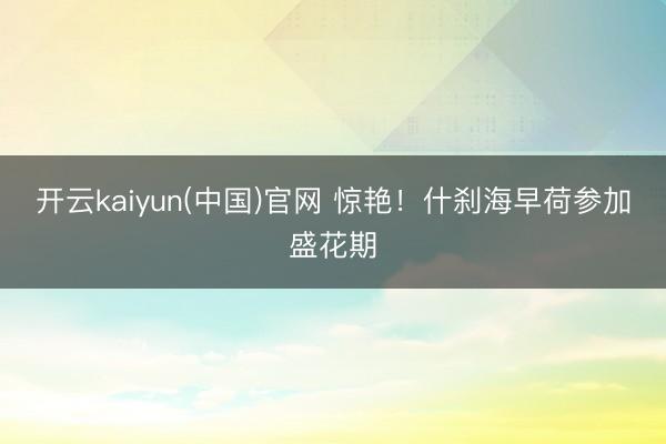 开云kaiyun(中国)官网 惊艳！什刹海早荷参加盛花期
