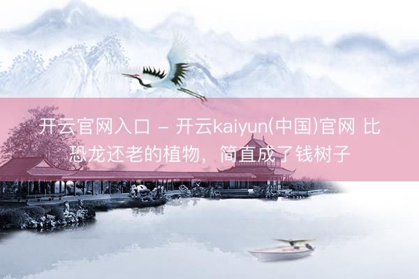 开云官网入口 - 开云kaiyun(中国)官网 比恐龙还老的植物，简直成了钱树子