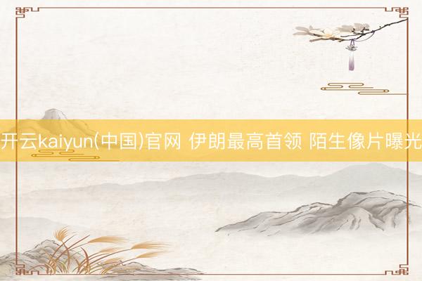 开云kaiyun(中国)官网 伊朗最高首领 陌生像片曝光