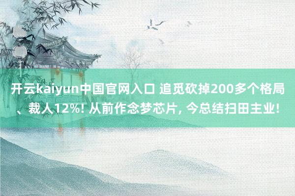 开云kaiyun中国官网入口 追觅砍掉200多个格局、裁人12%! 从前作念梦芯片， 今总结扫田主业!